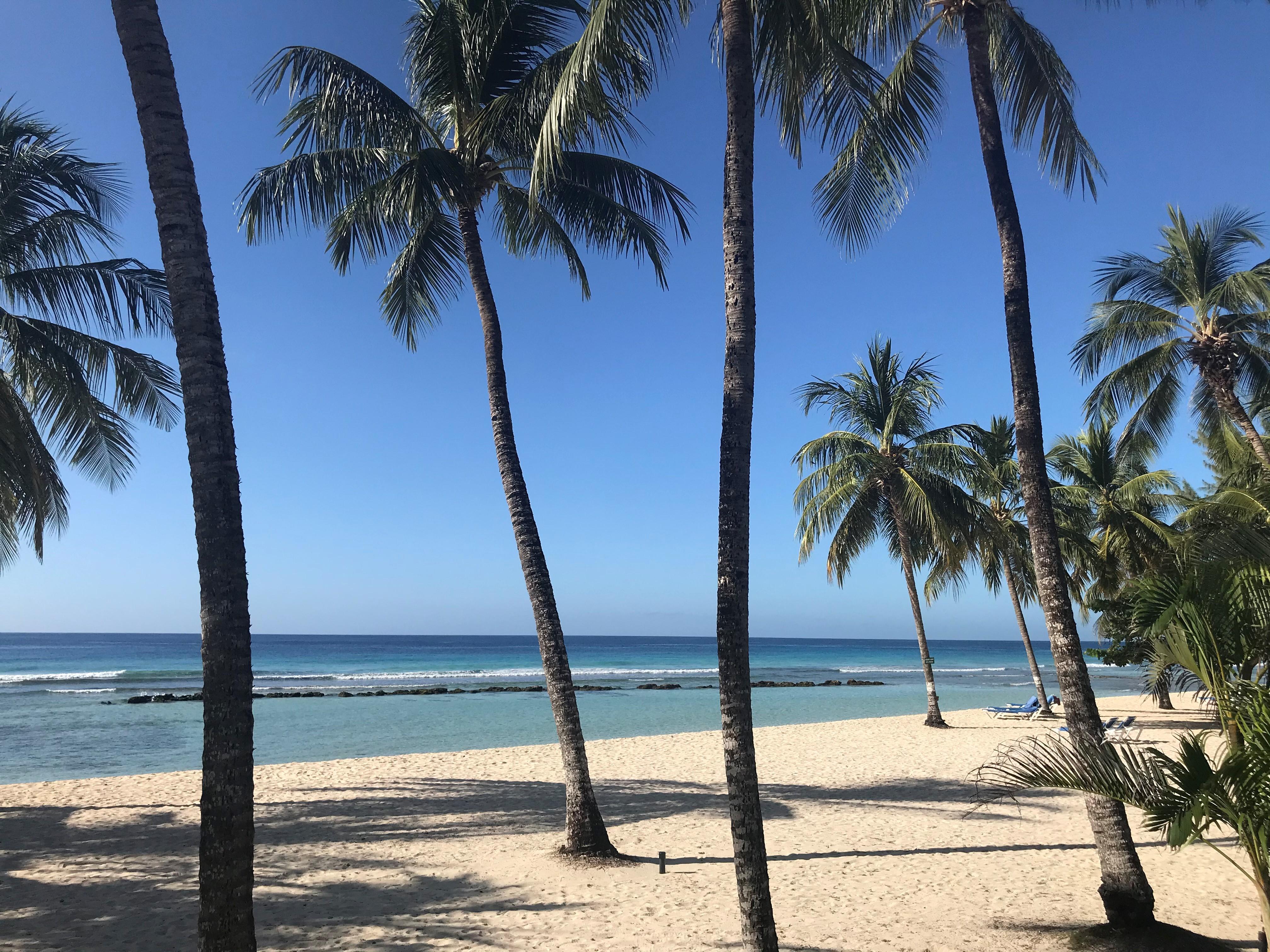 Coconut Court Beach Hotel Christ Church Exterior foto