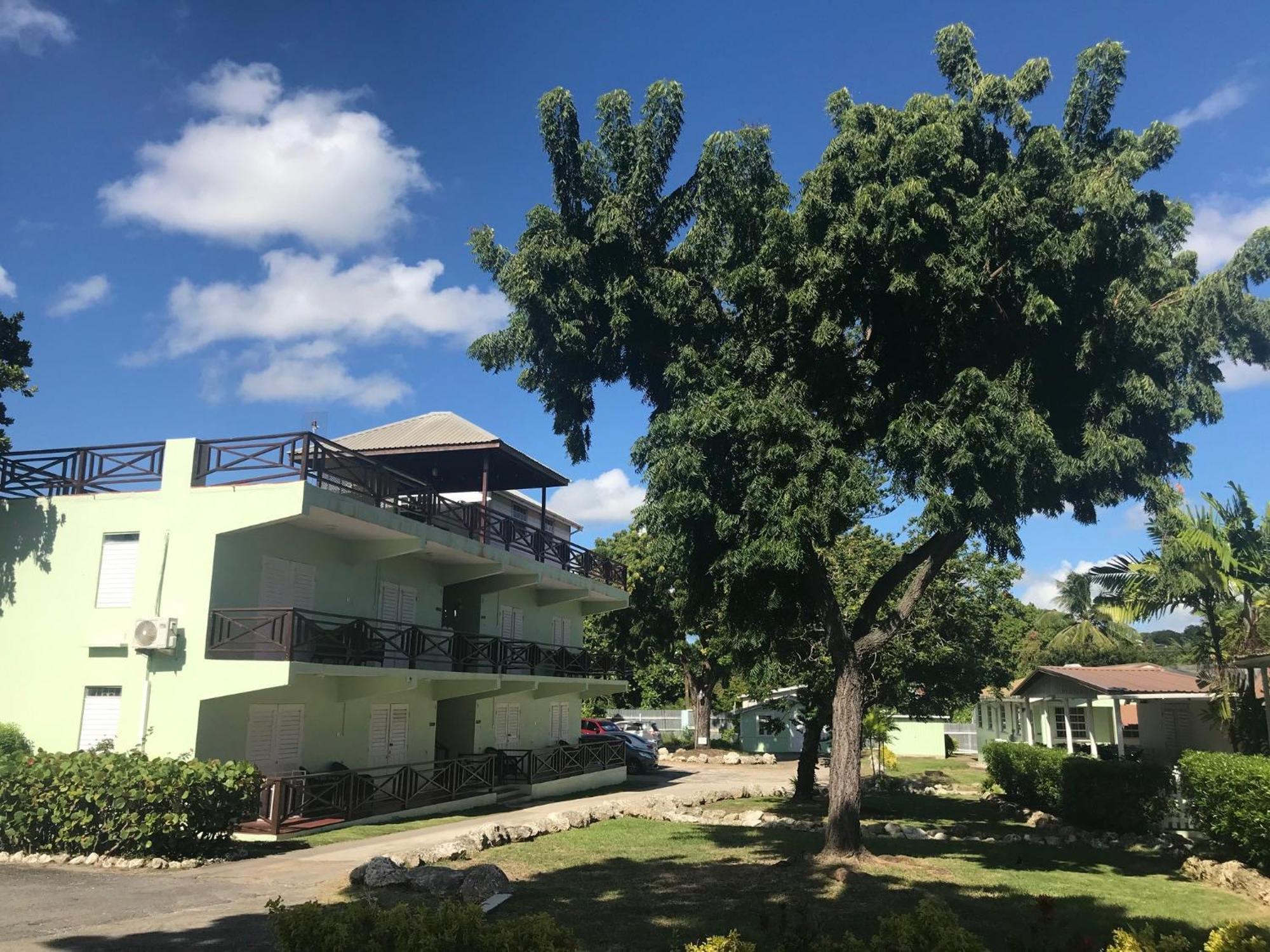 Coconut Court Beach Hotel Christ Church Quarto foto