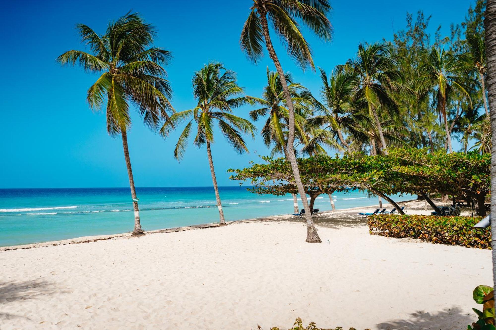 Coconut Court Beach Hotel Christ Church Exterior foto